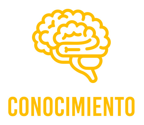 Conocimiento